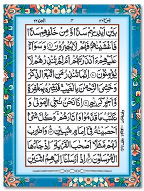 Surah Yaseen (Arabic Text Only) Pocket - Islamic Books 